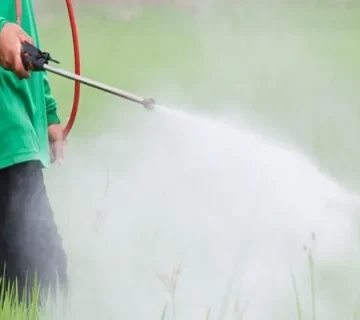 و کاربردهای آن؛ آموزش نحوه استفاده 768x345 1 |