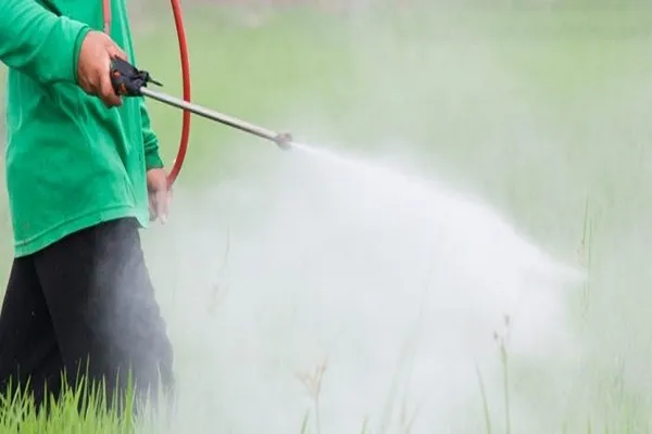 و کاربردهای آن؛ آموزش نحوه استفاده 768x345 1 |